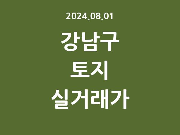 2024.08.01] 강남구 토지 실거래가 신고 리스트 정리