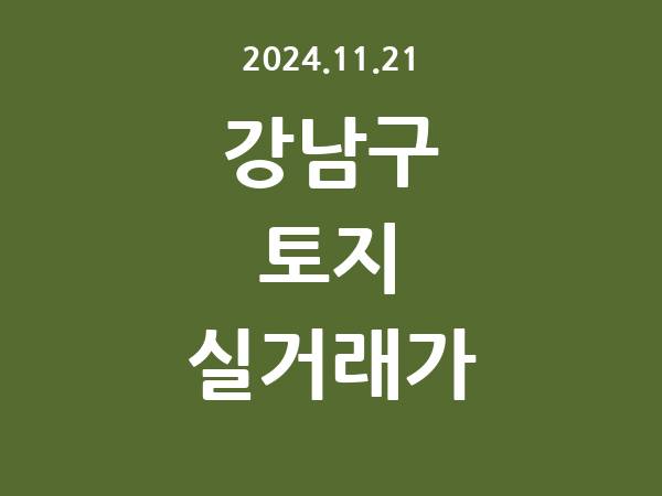 2024.11.21] 강남구 토지 실거래가 신고 리스트 정리