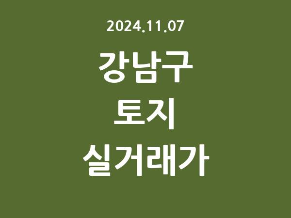 2024.11.07] 강남구 토지 실거래가 신고 리스트 정리