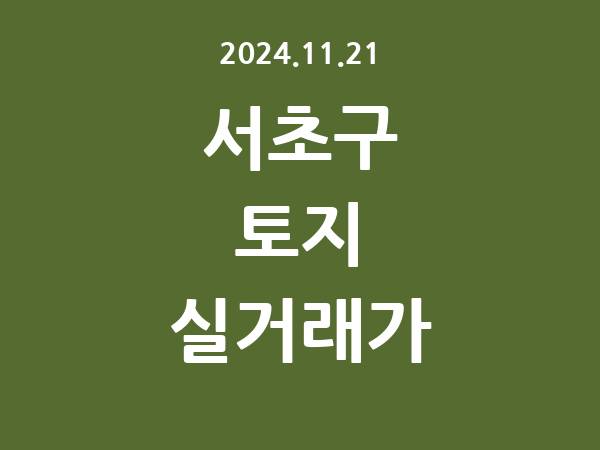 2024.11.21] 서초구 토지 실거래가 신고 리스트 정리