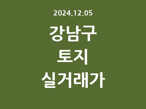2024.12.05] 강남구 토지 실거래가 신고 리스트 정리