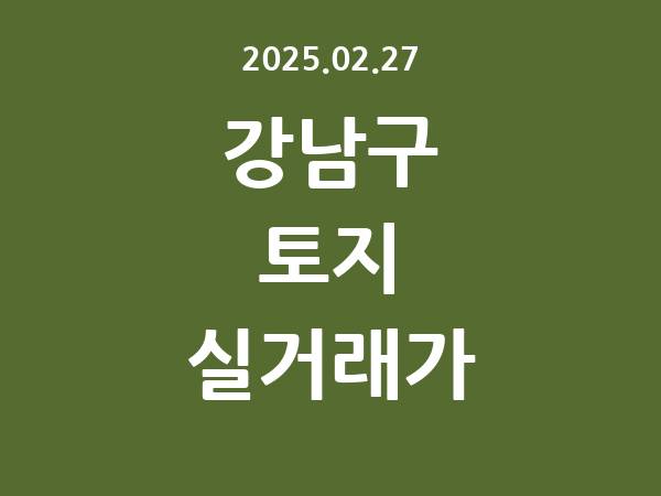 2025.02.27] 강남구 토지 실거래가 신고 리스트 정리