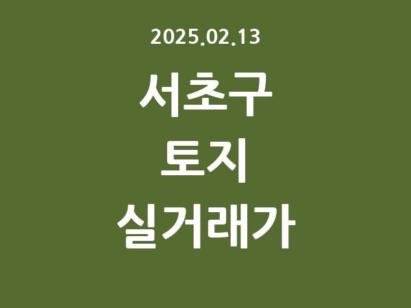 2025.02.13] 서초구 토지 실거래가 신고 리스트 정리