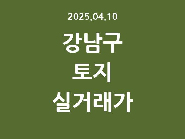 2025.04.10] 강남구 토지 실거래가 신고 리스트 정리