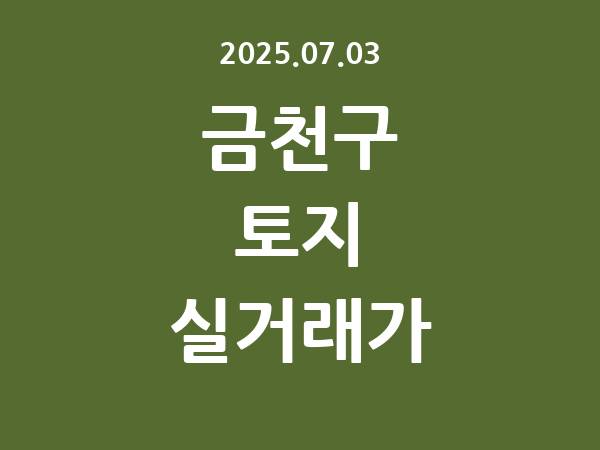 2025.07.03] 금천구 토지 실거래가 신고 리스트 정리