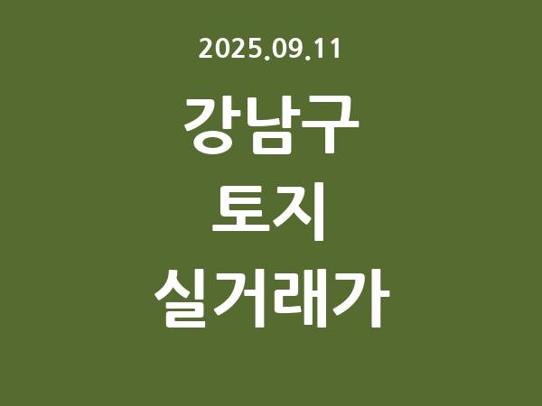 2025.09.11] 강남구 토지 실거래가 신고 리스트 정리